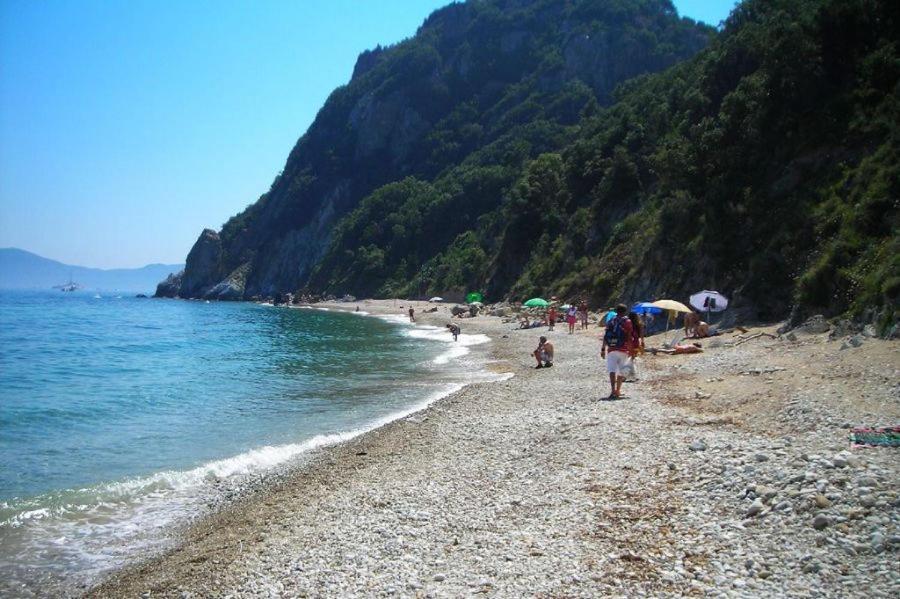 Seccione *